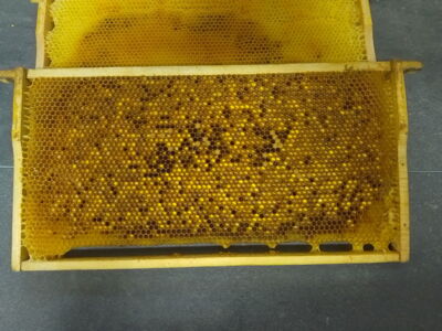 Blütenpollen imkermanufaktur