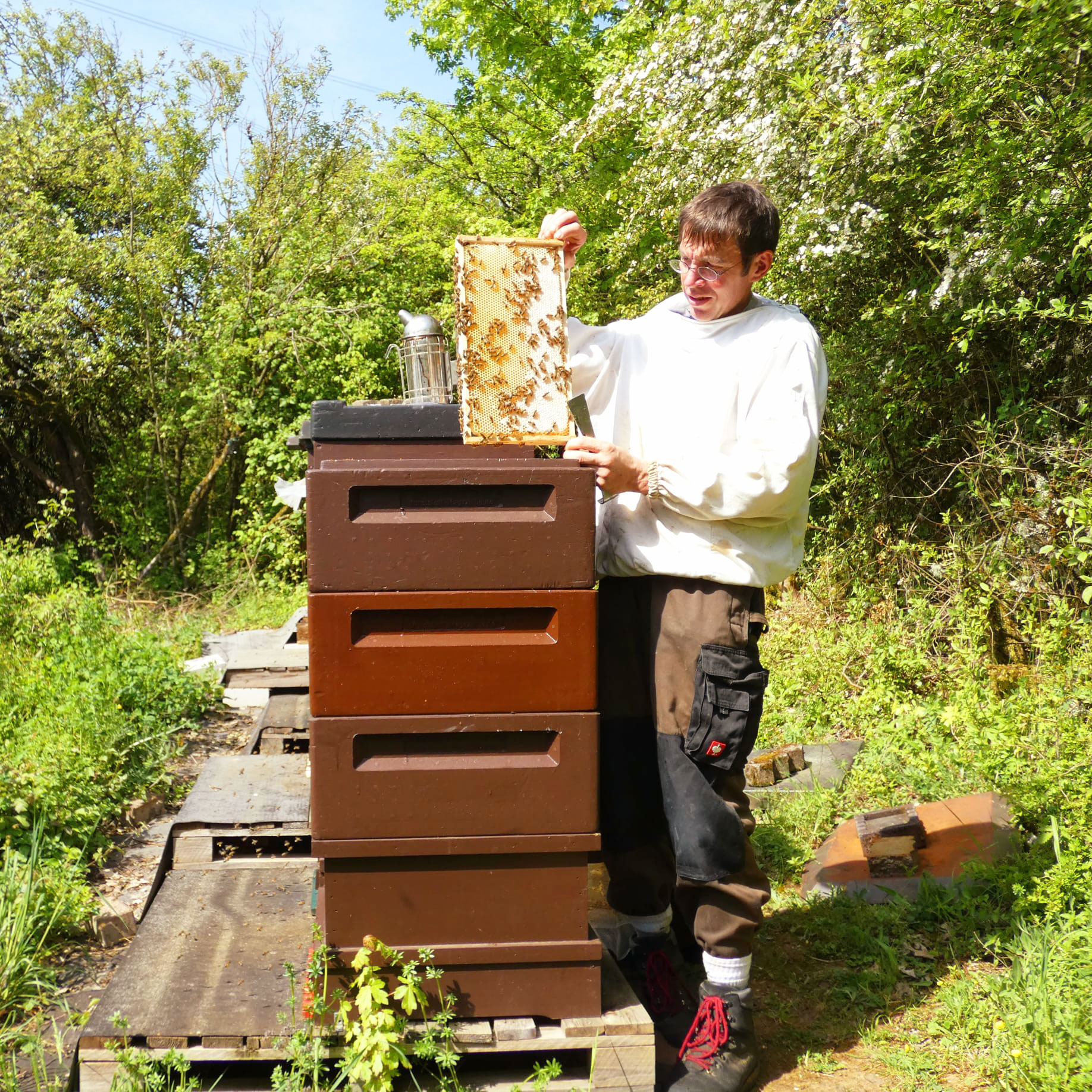 Klein-Altenstädten Imkerei Bienenhaltung